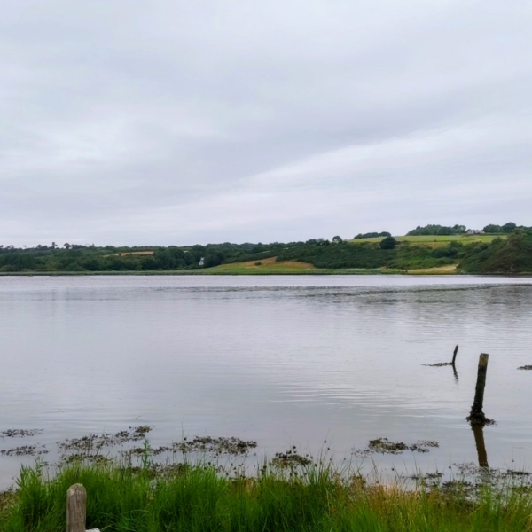 The man who breaths backwards